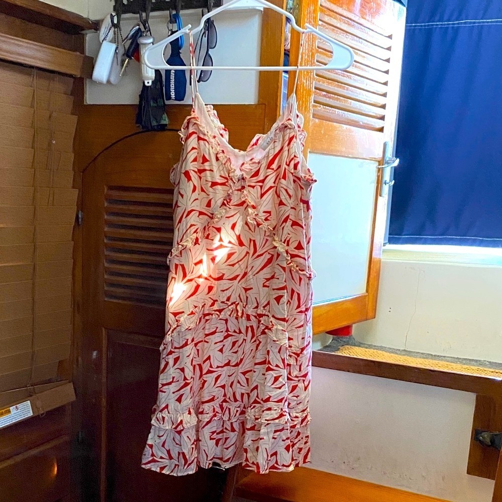 Lush Floral Red and Cream Dress